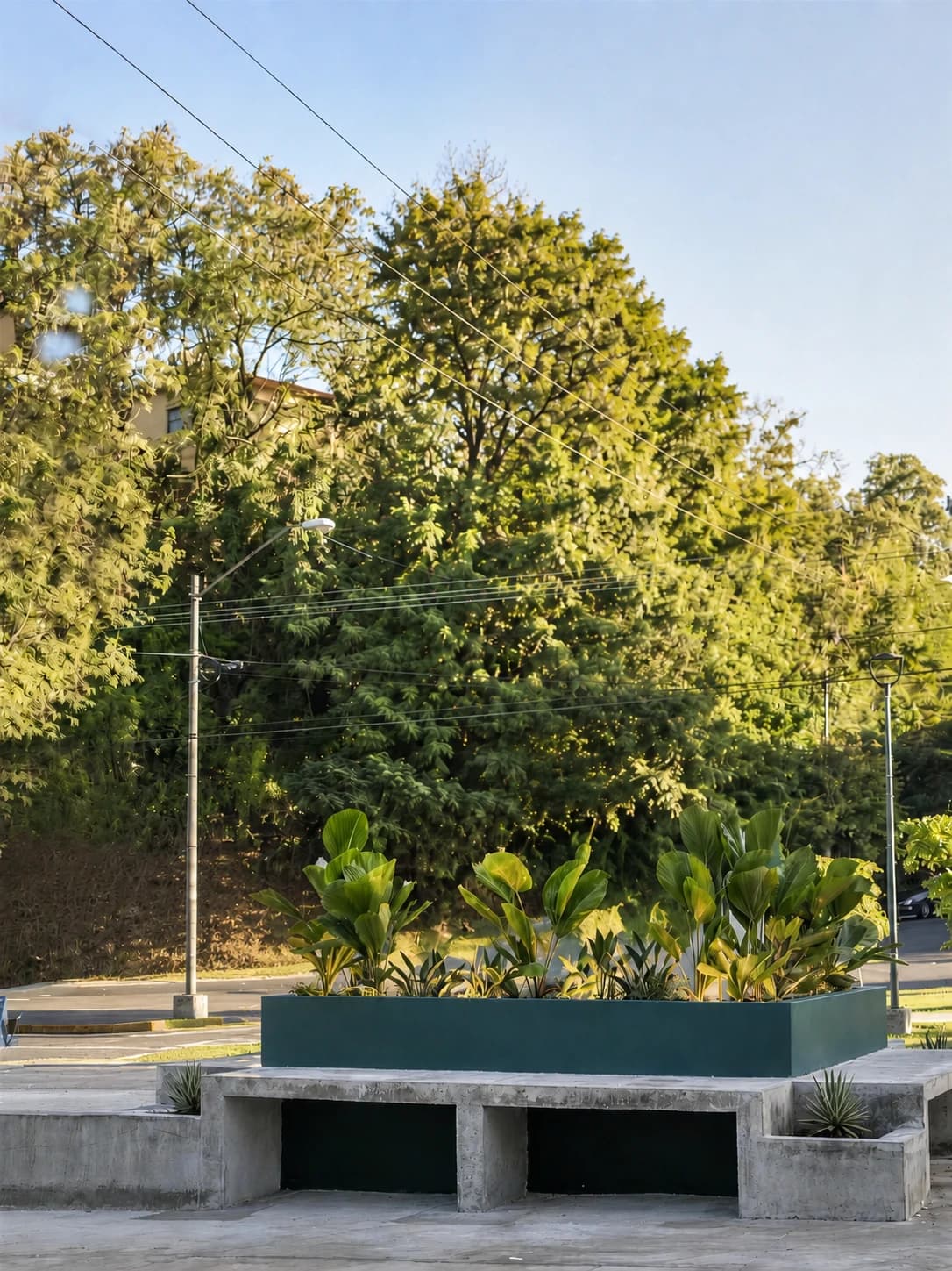 Cristo Park · espacio vacío